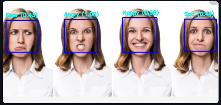Facial Emotion Recognition Screenshot